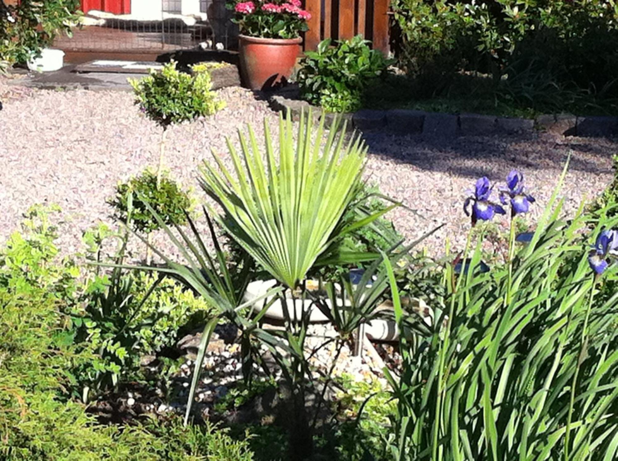 Mattisgarden Bed & Breakfast Östra Ljungby Exterior foto